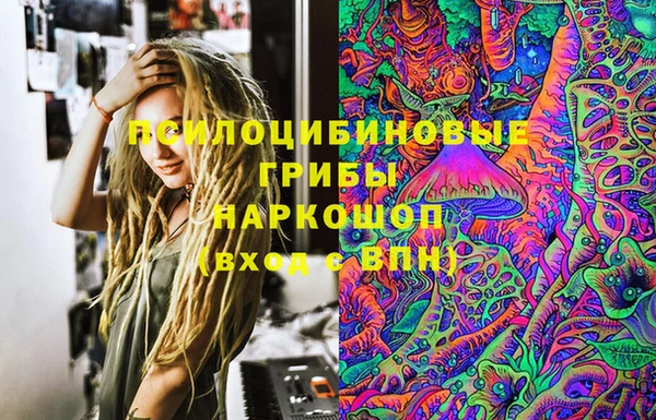 ПСИЛОЦИБИНОВЫЕ ГРИБЫ Сатка