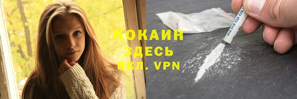 ПСИЛОЦИБИНОВЫЕ ГРИБЫ Сатка
